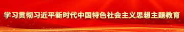 大鸡巴艹骚逼操到流水黄色视频学习贯彻习近平新时代中国特色社会主义思想主题教育